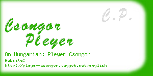 csongor pleyer business card